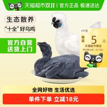 温氏 供港 十全乌骨鸡1kg