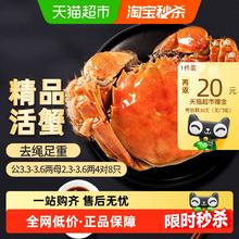 88VIP会员：今锦上 精品大闸蟹公3.6两 母2.3两 4对8只