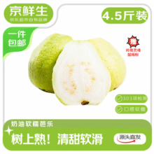 京鲜生 树熟软糯奶油芭乐 净重4.5斤装单果150g+35.8元包邮
