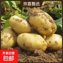 农家 山东农家自种黄心土豆 2斤 含箱0.01元