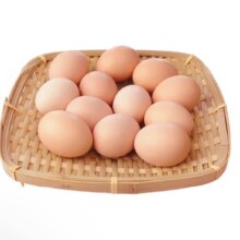 谷物鲜鸡蛋 农户散养新鲜鸡蛋 单枚50g±5 10枚（50克/枚）2.99元（需领券）