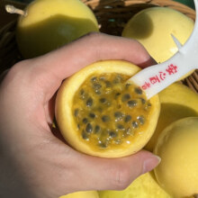 黄金钦蜜九号百香果  10粒1.95元（需领券）