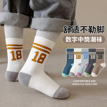 喵念 Meow Read 儿童纯棉中筒袜 5双