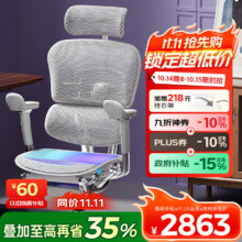 14日20点：Ergonor【重磅新品】保友金豪E2 Pro 旗舰人体工学椅 办公椅电脑椅电竞椅 银白美国网+躺舒宝2813元（晒单返50）
