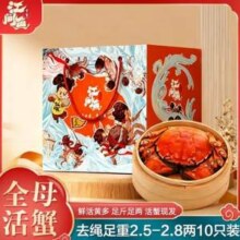 江问鱼 鲜活大闸蟹 去绳足重 全母2.5两-2.8两 10只装