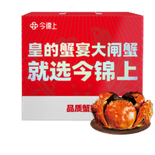 【活蟹】今锦上大闸蟹鲜活螃蟹礼盒全母2.3-2.6两8只装精品中秋国庆礼盒礼品 去绳足重135元
