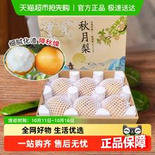 88VIP会员：喵满分 山东秋月梨羊脂梨子冰糖礼盒特大果新鲜水果4斤 6粒19.18元
