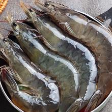 北海湾 山东青岛 南美白对虾 1500g*2盒 30-40只/千克