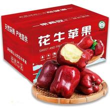 萧鲜生 精选甘肃天水花牛苹果， 2.25-2.5斤【特大果】14.9元（需买2件，需用券）