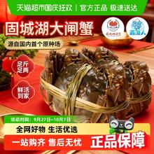 88VIP会员：鑫渔人 江苏南京固城湖大闸蟹螃蟹全母蟹鲜活精品蟹中秋2两 8只130.02元