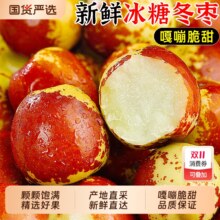 国货严选 山东沾化冬枣 带箱5斤装