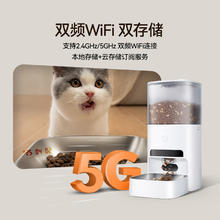 国家补贴：Homerun 霍曼 AI智能宠物自动喂食器视频版 64G插卡
