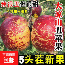 【大凉山冰糖心】新鲜盐源丑苹果大凉山冰糖心孕妇当季整箱包邮 【整箱9斤】特选特大果45元 (券后省20,月销1000+)