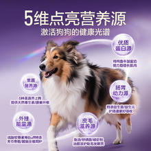 网易严选 犬粮 全价冻干三拼鸡肉狗粮 50g*21元