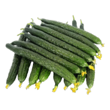 新鲜黄瓜现摘现发新鲜蔬菜生鲜可生吃炒菜非水果黄瓜 带箱 4斤 净重5元（需领券）