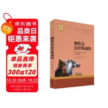 《钢铁是怎样炼成的》