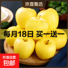 正宗山东烟台奶油嘎啦苹果脆甜多汁 2斤装 *2件9.99元（合5.00元/件，买一赠一）