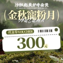 美团 沙胆彪炭炉牛杂煲 300元代金券|限2张