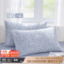 博洋（BEYOND）枕头套水洗棉枕套一对装家用48x74cm纯棉2025新款枕芯内胆套 A类水洗棉【淡紫白叶】一对 48cm*74cm40元（需领券）