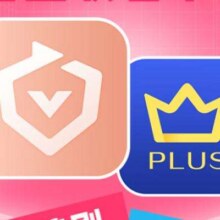 【全款预售】爱奇艺白金VIP会员年卡+京东PLUS年卡 支持电视端228元（需领券）