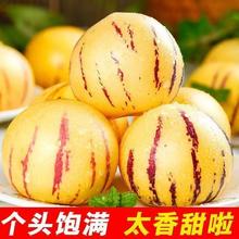 柠郡王 正宗云南石林人参果 5斤（果王）单果110g+