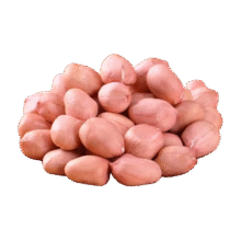 现剥新白沙花生米无壳 500g3.99元（需领券） 双十一活动