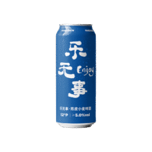 熊猫精酿原浆啤酒500ml陈皮比利时小麦精酿啤酒整箱扎啤熟啤鲜啤白啤果啤 500mL 6罐19.8元