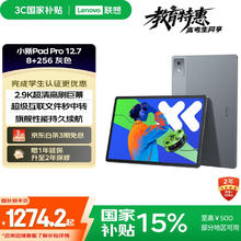 联想 Lenovo 小新Pad Pro 12.7 2025款 平板电脑（2.9K、天玑8300、8GB、256GB、WiFi版、大象灰）1095.73元