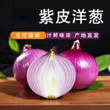 夜 水果 紫皮洋葱 9斤 单个≥150g4.6元