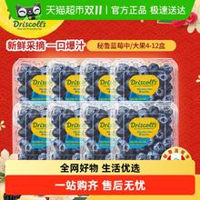 怡颗莓 秘鲁蓝莓中果热卖 新鲜水果中果14-17mm 4盒49.3元