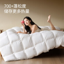 京东京造90%白鸭绒被 抗菌羽绒被 双人冬厚被芯1100g填充2.2*2.4m899元