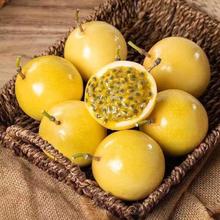 88VIP会员：PANZHIHUA FRUIT 云南钦蜜9号 1斤 单果40-60g