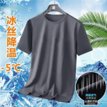 夏季冰丝短袖 T恤 浅灰色 3XL1元（微信小程序领券）