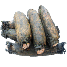 京觅湖北莲藕 粉藕 带泥锁鲜 净重3斤装 新鲜蔬菜源头直发 包邮15.9元（大部分地区有货）