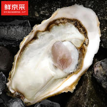 有券的上：鲜京采 生蚝净重5斤 5XL 9-12只左右 源头直发 露营烧烤券后39.9元