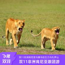 20点开始：全国联运非洲肯尼亚跟团10日游马赛马拉动物大迁徙乞力马扎罗山9999元纯玩0购物全国联运、含全餐、4-5钻酒店