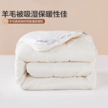 51%澳洲羊毛填充！水星家纺 澳洲羊毛 抗菌冬被被芯200×230cm￥89.00 5.0折