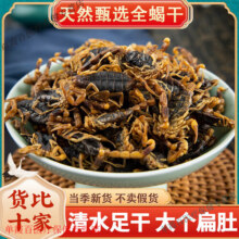 北京同仁堂沂蒙十足全干全蝎中药材全蝎无盐清水蝎子全虫蝎子干度可打粉 全蝎/500克(瓶装发货)1364.5元 (满99减5,券后省2)