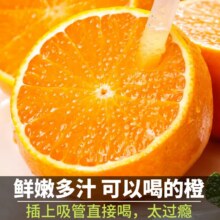 梦宛怡 爱媛38号果冻橙整箱 5斤（60-65MM）净重4.5斤14.48元（需领券）