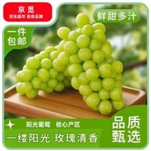 京觅 甘肃晴王觅光葡萄 净重4斤 单粒8-10g16.9元包邮（4.22元/斤）