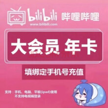 哔哩哔哩 bilibili 大会员12个月B站bilibili年卡 哔哩哔哩年