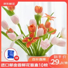 荷兰进口！某东鲜花 郁金香鲜花盲盒10枝￥19.90 5.0折