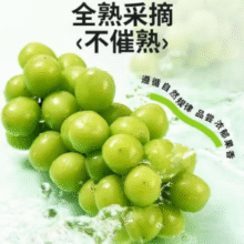 京觅 甘肃晴王觅光葡萄 净重4斤 单粒8-10g