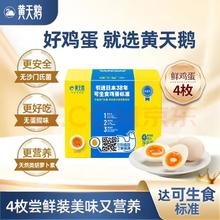 黄天鹅 国产可生食鸡蛋 212g 4枚 礼盒装0.1元
