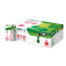 蒙牛 全脂 纯牛奶 3.2g蛋白质 盒装 250ml 21盒