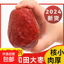 桂圆干16A特级大果2025年新货核小肉厚福建龙眼干特产 新疆一级和田大枣-500g7元 (月销4w+)