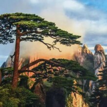 美团 黄山旅游集团 黄山山顶酒店标间1晚+门票2张+双早+享好礼1638元