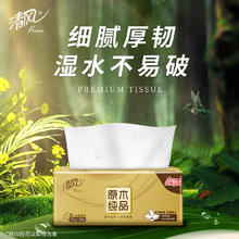 Breeze 清风 金装系列 抽纸 3层120抽24包(190*132mm)