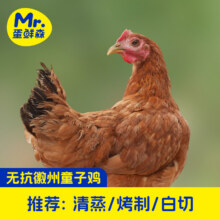 米其林三星法餐指定蛋品供应商，Mr.Egg 蛋鲜森 徽州金奖童子鸡 900g±50g*3只新低81.9元顺丰包邮（15.16元/斤）