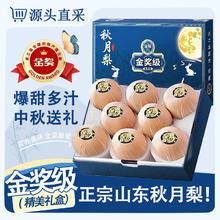 三萌果蔬 正宗山东秋月梨 新鲜现摘莱阳冰糖梨子水果中秋礼盒节日送礼 5斤臻品装净重4.5斤券后15.8元